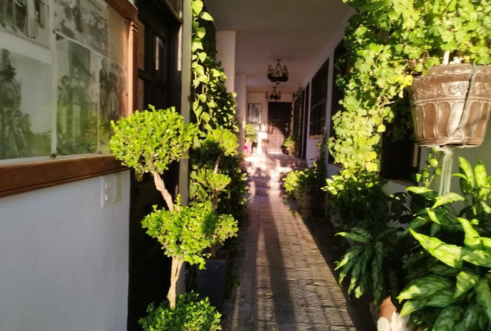 Majaguar Aparthotel Κανκούν Μεξικό