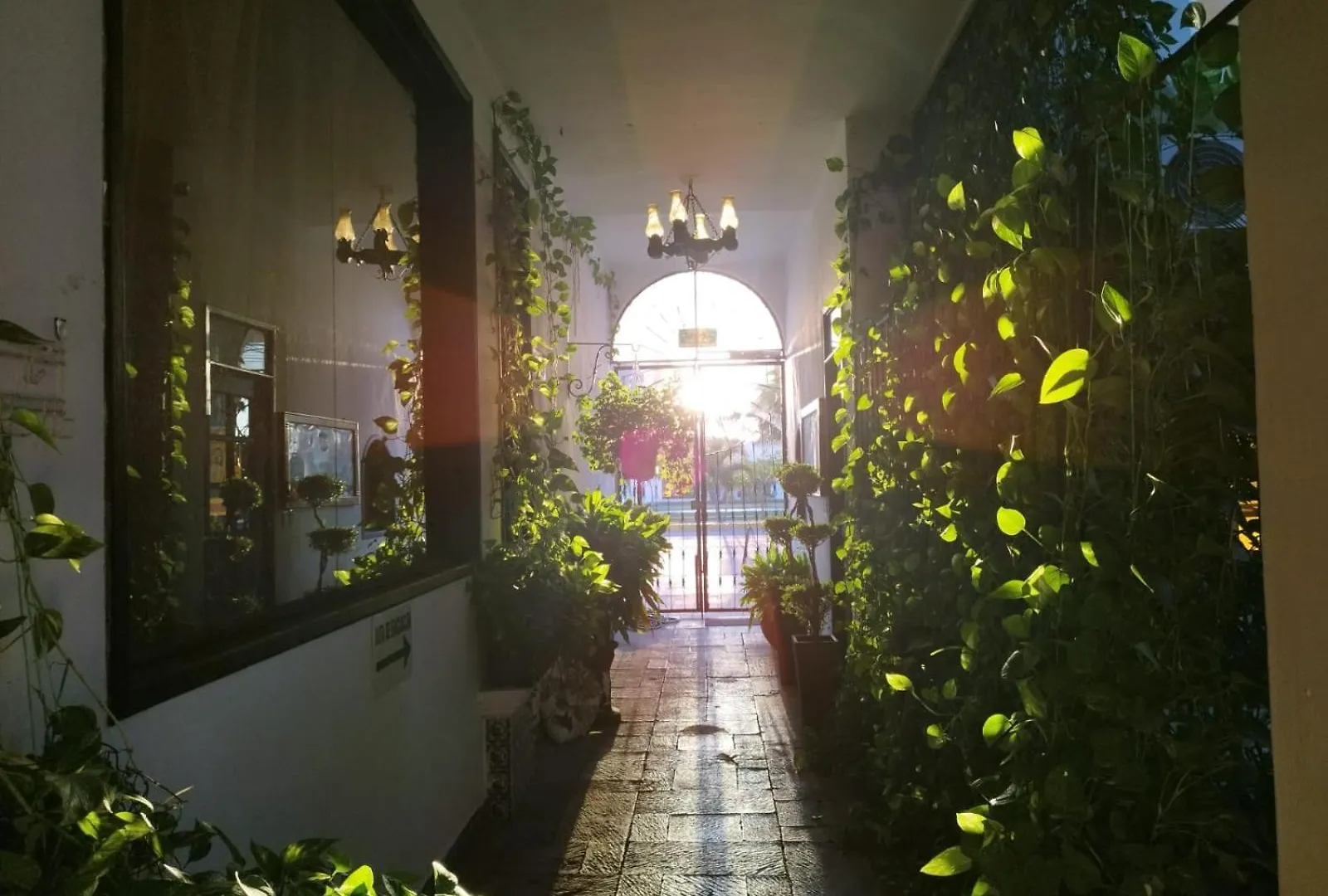Majaguar Aparthotel Κανκούν 0*,