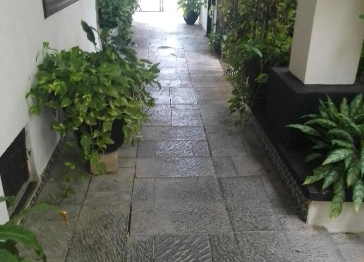Majaguar Aparthotel Κανκούν