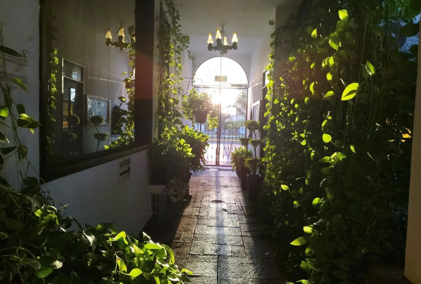 Majaguar Aparthotel Cancun