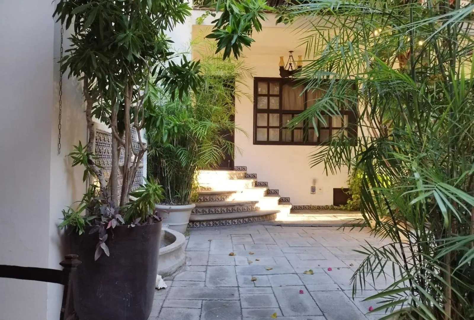 Majaguar Aparthotel Cancun